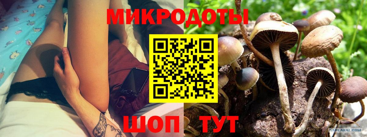 Улан-Удэ  Галлюциногенные грибы Psilocybine cubensis  Вход с VPN 